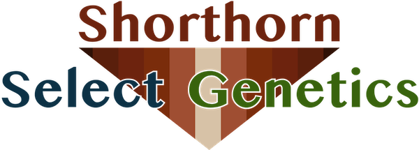 Shorthorn Select Genetics