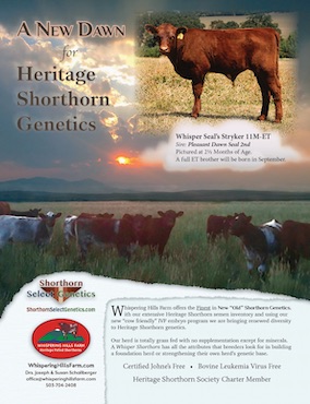 Shorthorn Country, September 2020 Issue